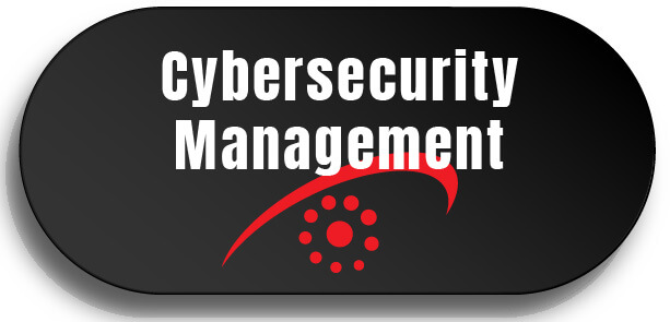 Cybersecurity Management Managed IT Services